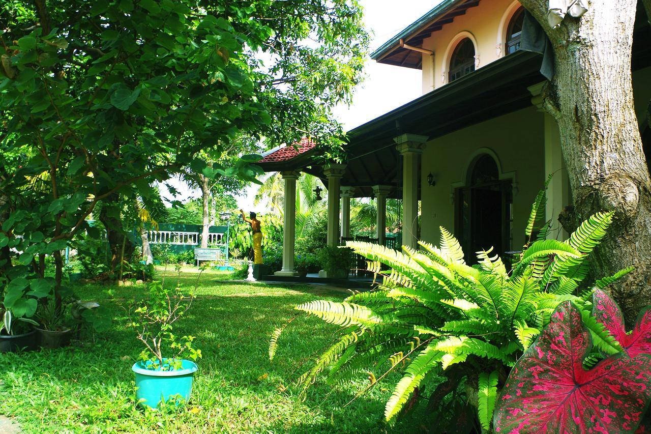 Villa Eco Green Negombo Ngoại thất bức ảnh