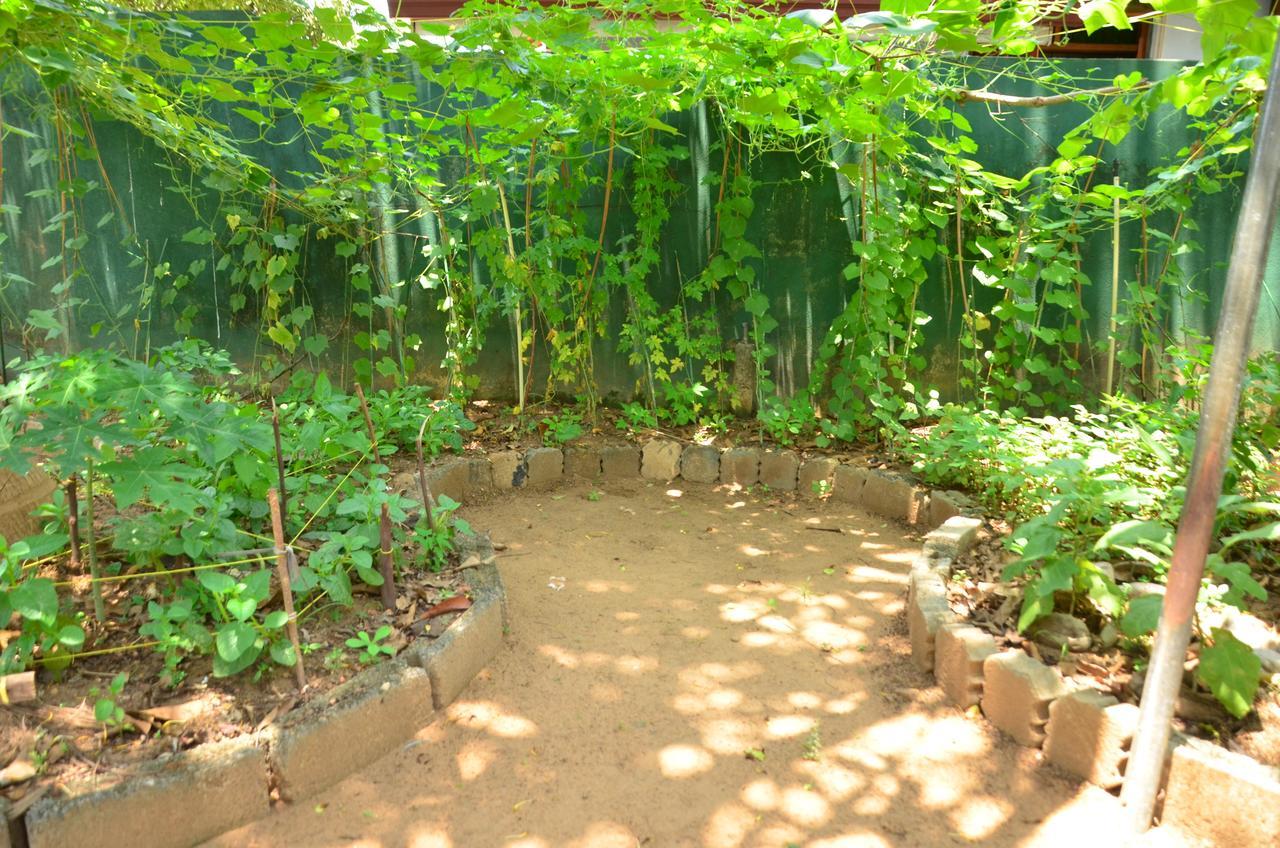 Villa Eco Green Negombo Ngoại thất bức ảnh